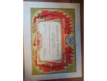 IMG 20200222 150055.jpg