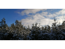 IMG 20200208 141910.jpg