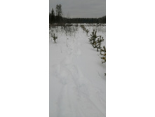 IMG 20200209 131119.jpg