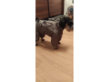 ����������� viber 2020-02-17 10-13-41.jpg