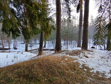 IMG 20200222 083002.jpg