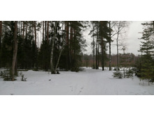 IMG 20200229 111410.jpg