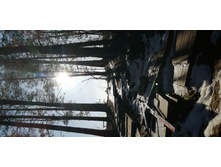 IMG 20200222 122353.jpg