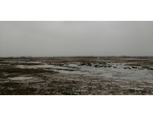 IMG 20200223 125046.jpg