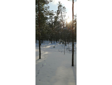 IMG 20200208 141307.jpg