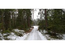 IMG 20200229 111835.jpg