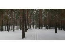 IMG 20200202 115428.jpg