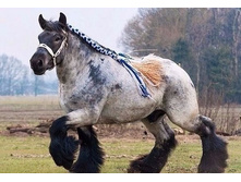 IMG 20200201 072400.jpg