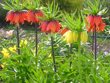 �������������