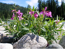 ������ �������������.jpg