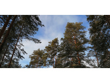 IMG 20200208 135950.jpg