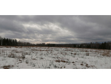 IMG 20200229 120830.jpg