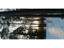 IMG 20200222 080351.jpg