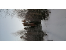 IMG 20200222 073700.jpg