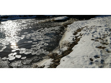 IMG 20200222 111707.jpg