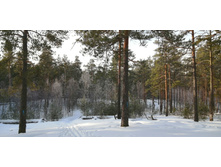 IMG 20200216 094422.jpg