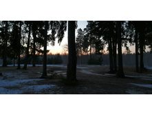 IMG 20200222 071319.jpg