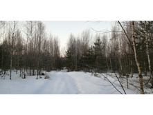 IMG 20200222 073114.jpg