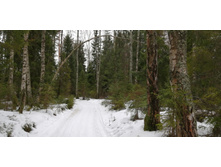 IMG 20200229 111725.jpg