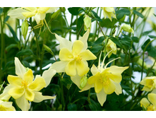 ��������� ������*