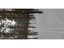 IMG 20200202 115157.jpg