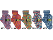 REGENWALD XII 6-PLY Opal