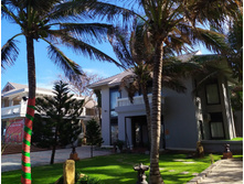 IMG 20200211 154305.jpg