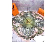320� 140 �� 140 �� ������ 2.jpg