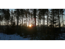 IMG 20200222 080025.jpg