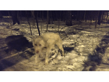 ������ � ���� (2)