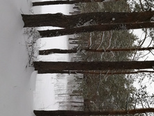 IMG 20200202 111758.jpg