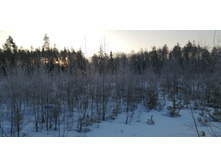 IMG 20200222 075717.jpg