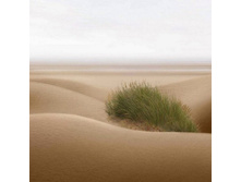 Chernuj-jumor 030.jpg