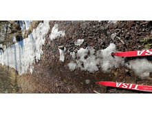 IMG 20200222 114811.jpg