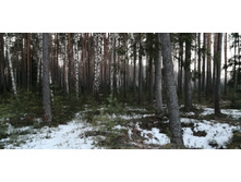 IMG 20200222 072643.jpg