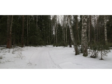 IMG 20200229 111354.jpg