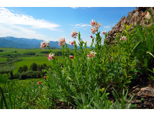 ������������ ���������.jpg