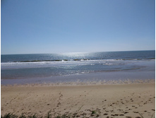 IMG 20200213 092420.jpg