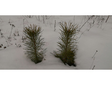 IMG 20200229 121321.jpg