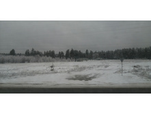 IMG 20200229 100944.jpg