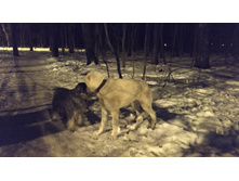 ������ � ����