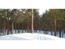 IMG 20200216 094433.jpg