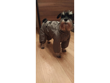 ����������� viber 2020-02-17 10-13-40.jpg