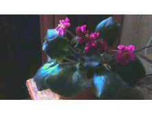 ������ ��-�����