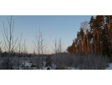 IMG 20200222 075456.jpg