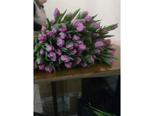 IMG 20190224 115951.jpg