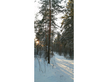 IMG 20200208 151758.jpg