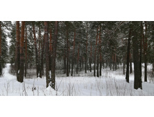 IMG 20200202 123621.jpg