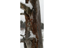 IMG 20200209 130955.jpg