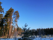 IMG 20200222 084556.jpg